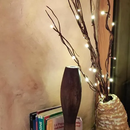 Eco-gite Panoramique Face Aux Volcans Avec Ateliers Couture Boheme En Option *